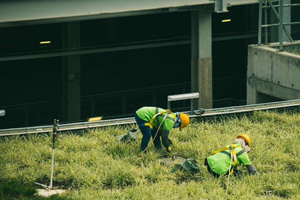 landscapers checking the grass